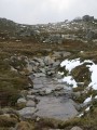 0109-1701 Thredbo (1095973)